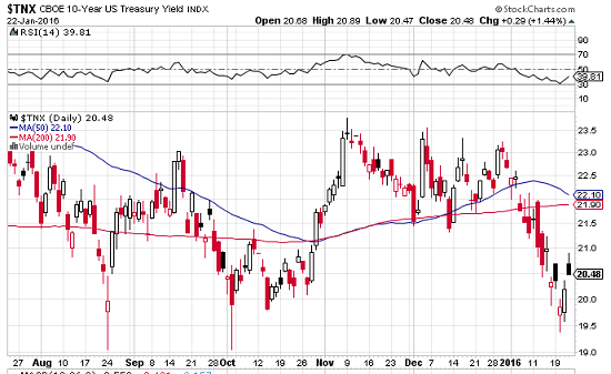 Dead Cats Chickens and Eggs