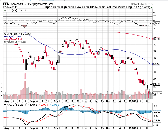 Dead Cat Chickens and Eggs