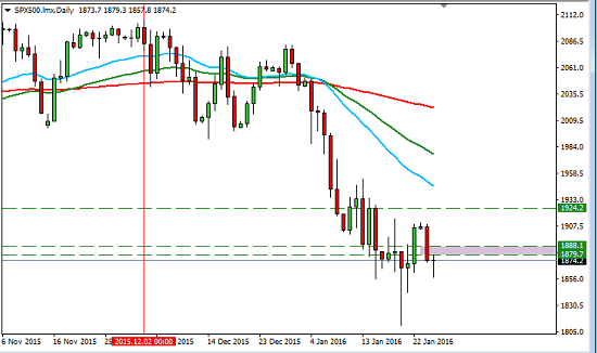 Dead Cats Chickens and Eggs