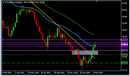 Forex Secrets